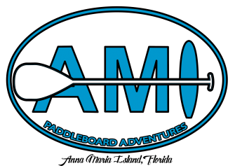 AMI Paddle Board